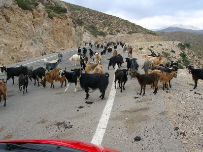Unterwegs von Elafonisi nach Kissamos