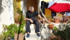 stalkermieze-kater-04
