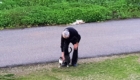 stalkermieze-kater-09
