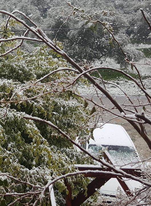 Leihwagen im Schnee