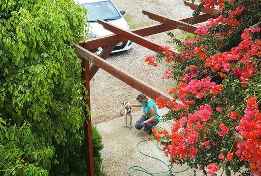 Unser Hund hilft bei der Gartenarbeit