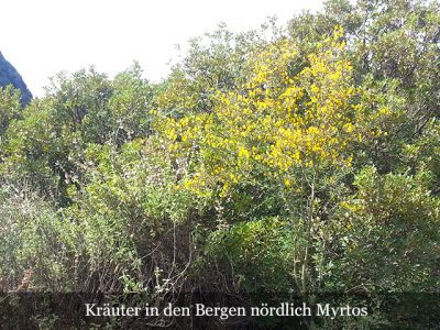 Slider Bergregion nörlich von Mirtos