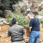 Kräuter sammeln in der Bergregion nördlich von Mirtos