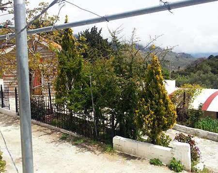 Selakano Taverne nördlich oberhalb von Mirtos