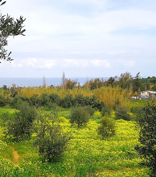 Blick an die Küste nach Gerani