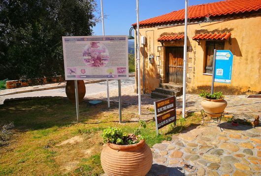 Oliven-Museum in Ano Vouves