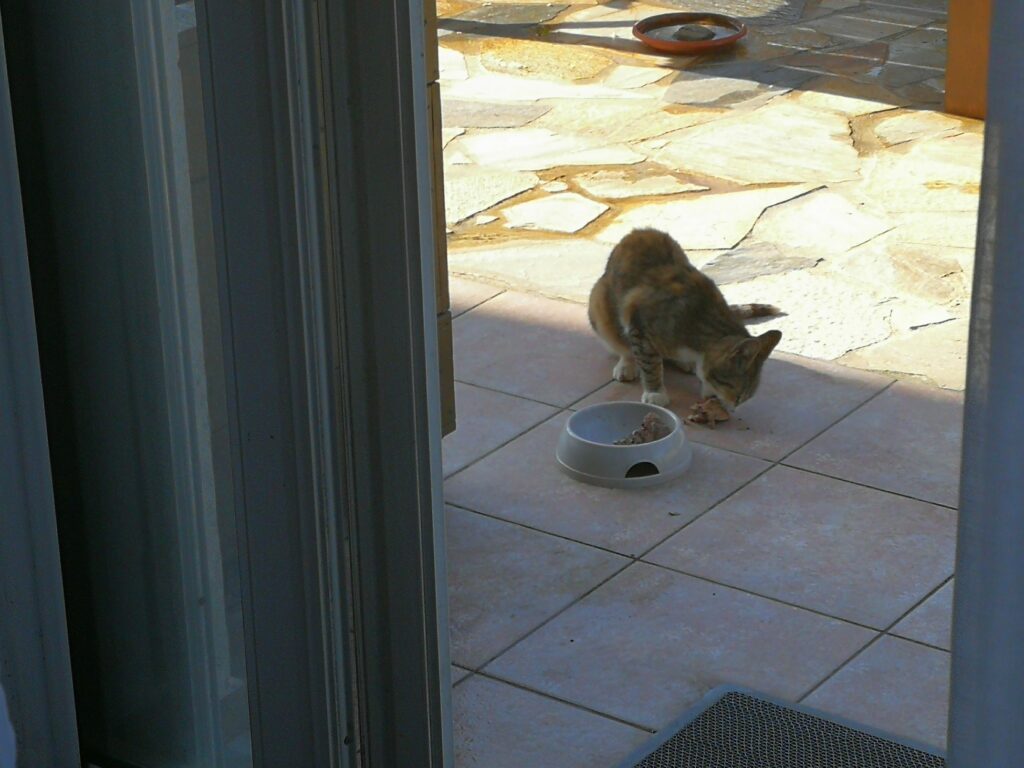 Lieblingsbeschäftigung