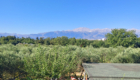 Blick auf die Weißen Berge