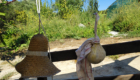 Käse trocknet