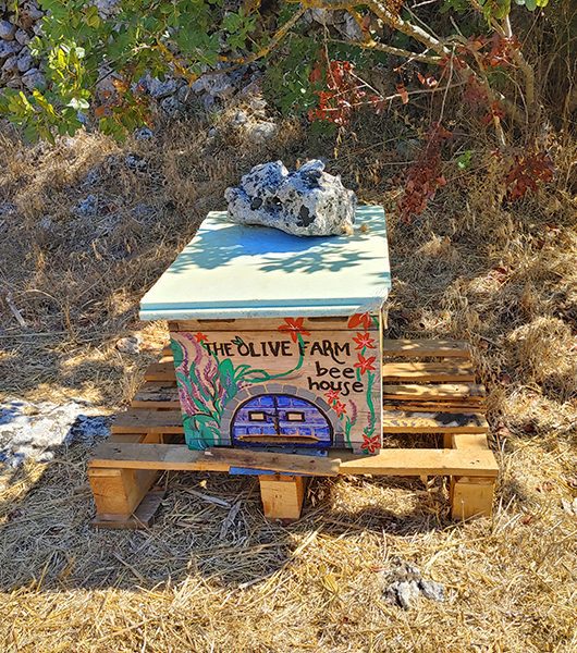 Bienenhaus bei The Olive Farm