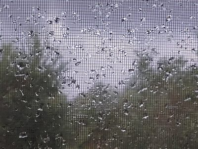 Wetter im Oktober 2020