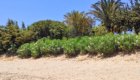 Grammeno Beach