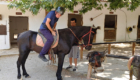 Vorbereitung aufs Reiten