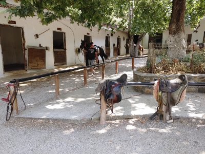 Reiten in Derres, Kreta