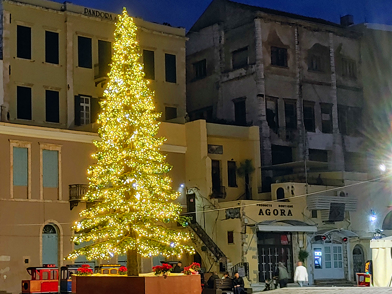 Tori mit Kater Dolfi