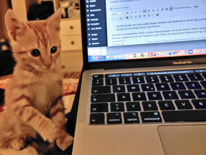 Mika hilft beim Schreiben.