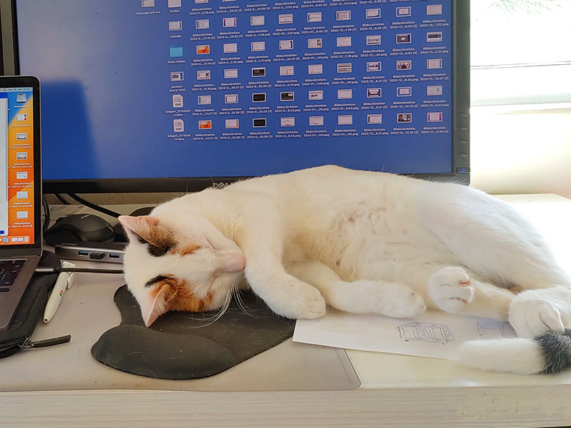 Pardalakis Studios Gerani Pardalakis Studios Gerani