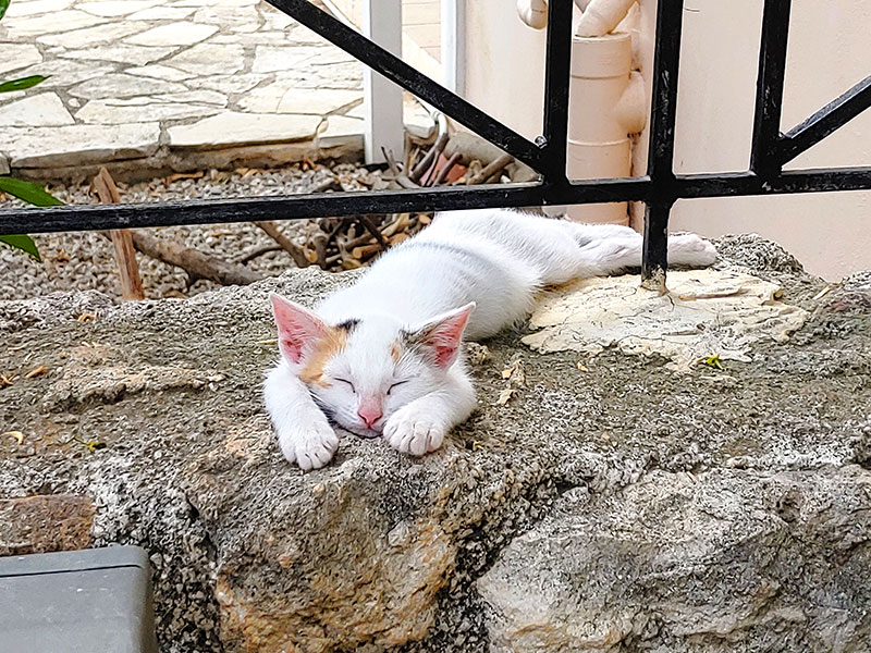 Pardalakis Studios Gerani Pardalakis Studios Gerani