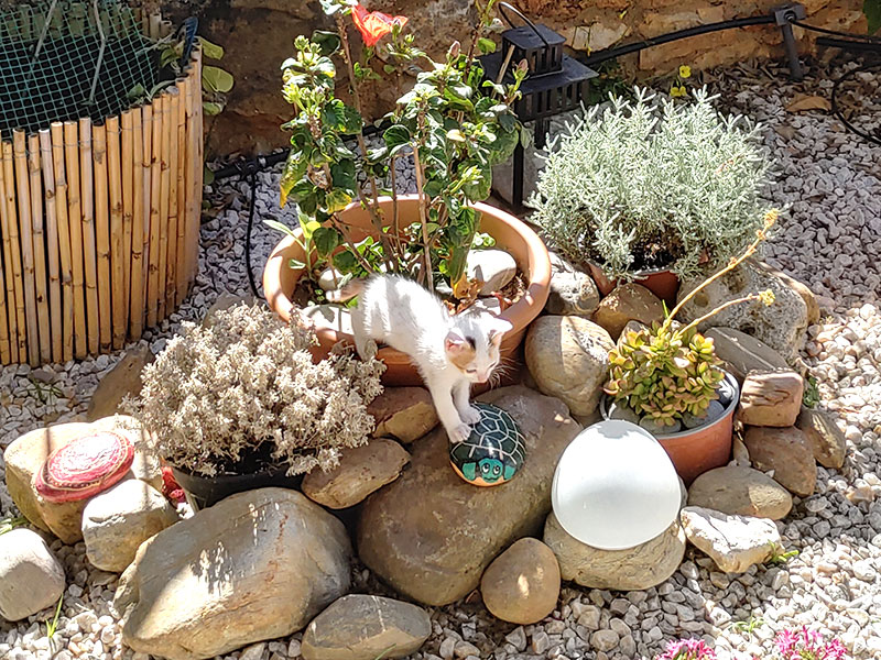 Pardalakis Studios Gerani Pardalakis Studios Gerani