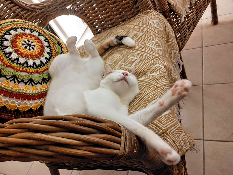 Pardalakis Studios Gerani Pardalakis Studios Gerani