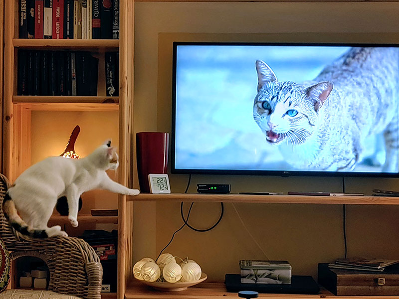 Pardalakis Studios Gerani Pardalakis Studios Gerani