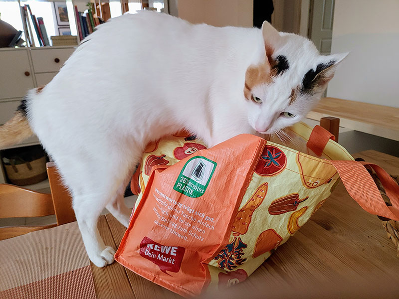 Pardalakis Studios Gerani Pardalakis Studios Gerani