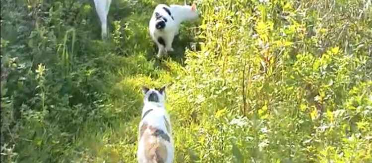 Gemeinsam draußen unterwegs