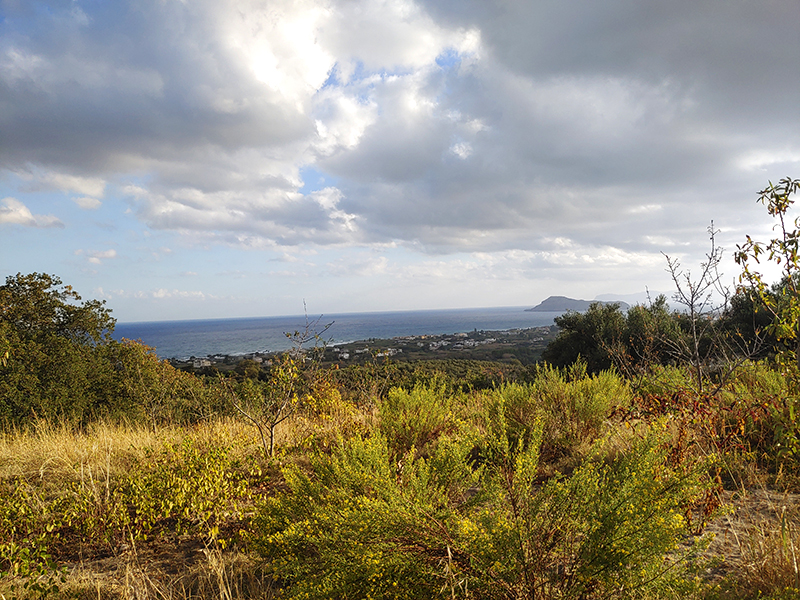 Blick vom Hügel Richtung Osten Blick vom Hügel Richtung Osten