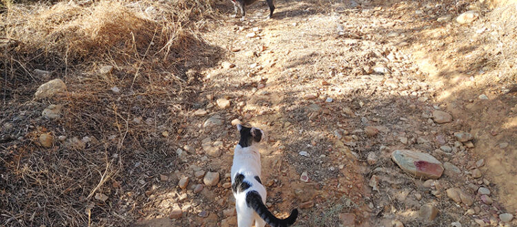 Tori mit Kater Dolfi