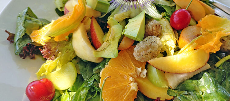Salat im Botanischen Garten