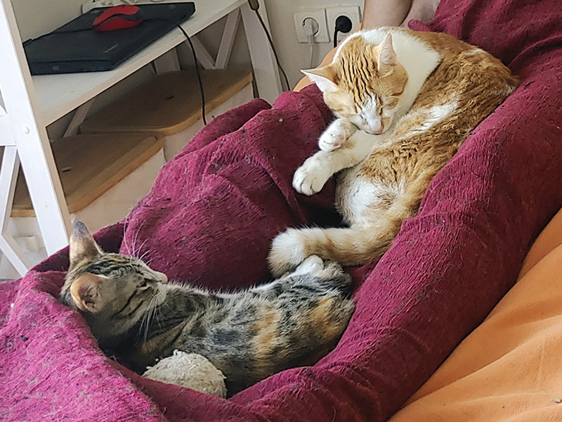 Babsy und Mila
