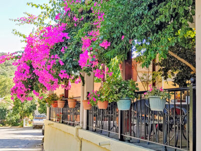 Coffee Shop in Nteres