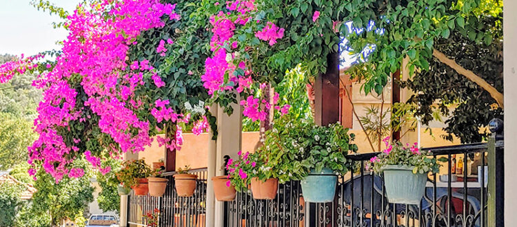 Coffee Shop in Nteres