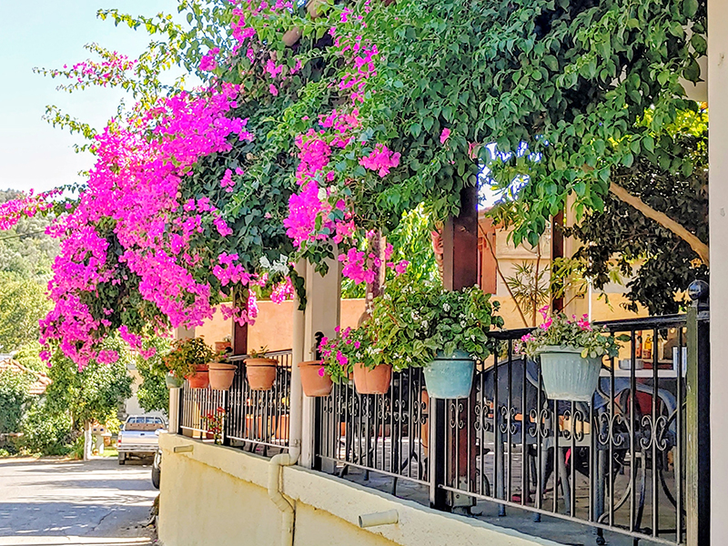 Coffee Shop in Nteres