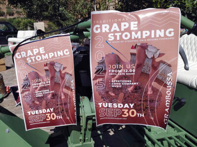 Trauben stampfen in Kaliviani