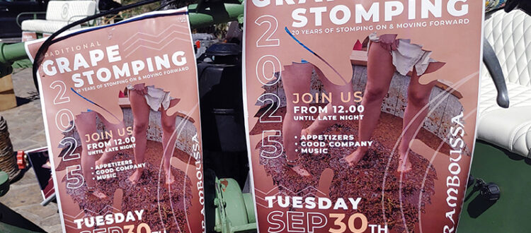 Trauben stampfen in Kaliviani