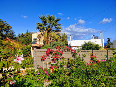 Wetter am 29.11.2025