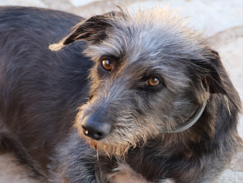 Theofania 06.01.2025