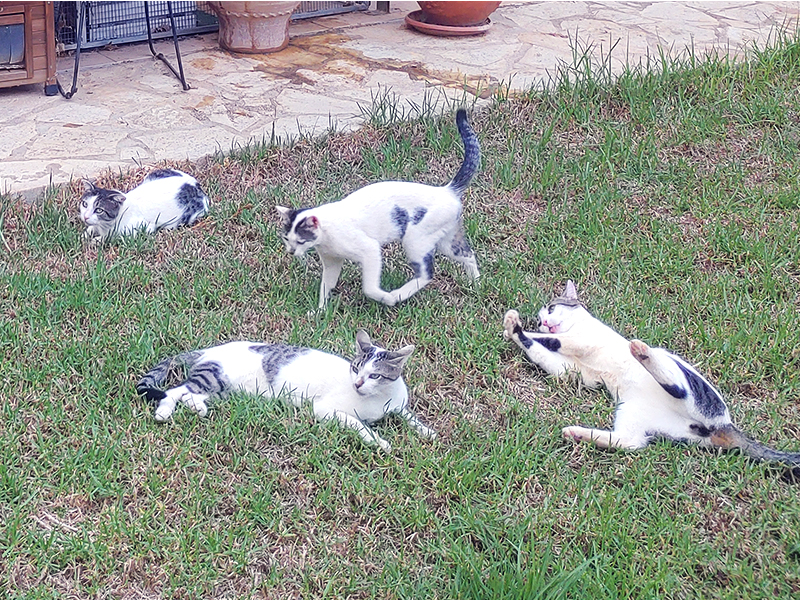 Theofania 06.01.2025