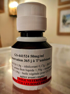 GS 441524 zur Behandlung von FIP