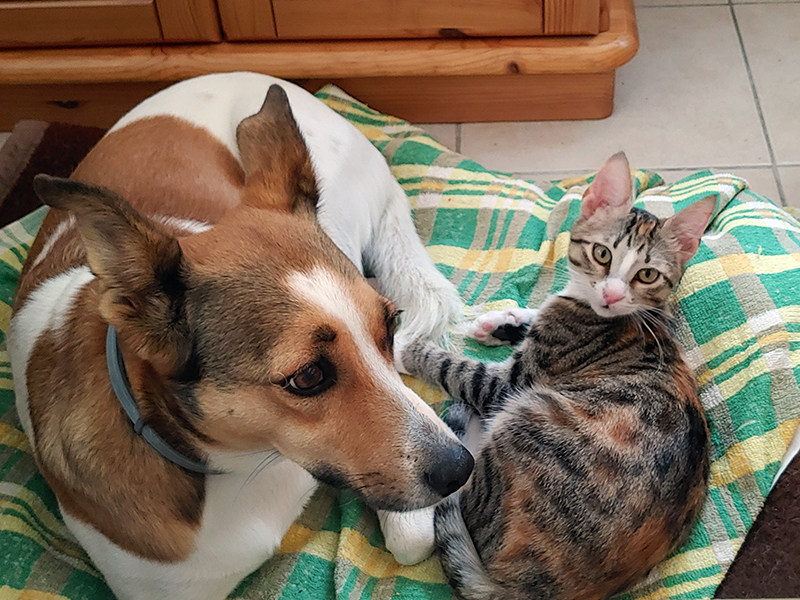 Theofania 06.01.2025