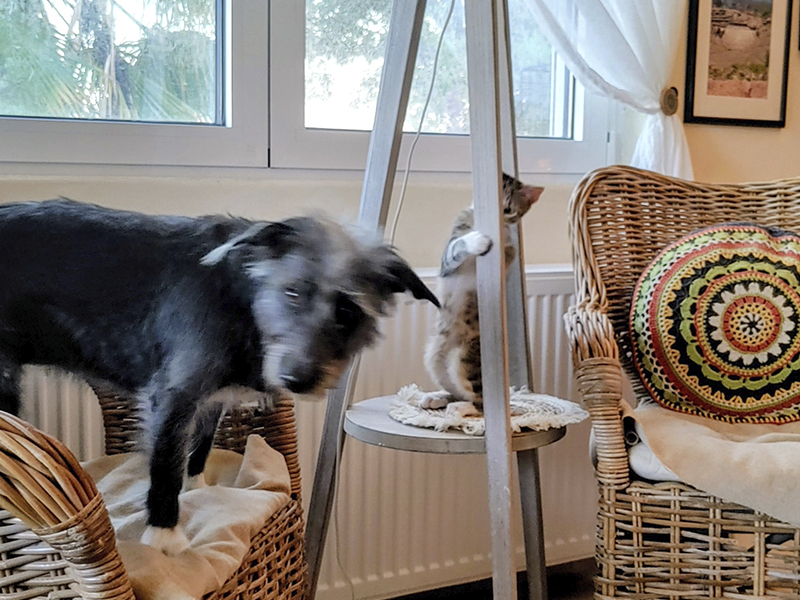 Theofania 06.01.2025