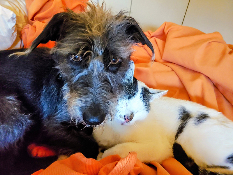 Theofania 06.01.2025