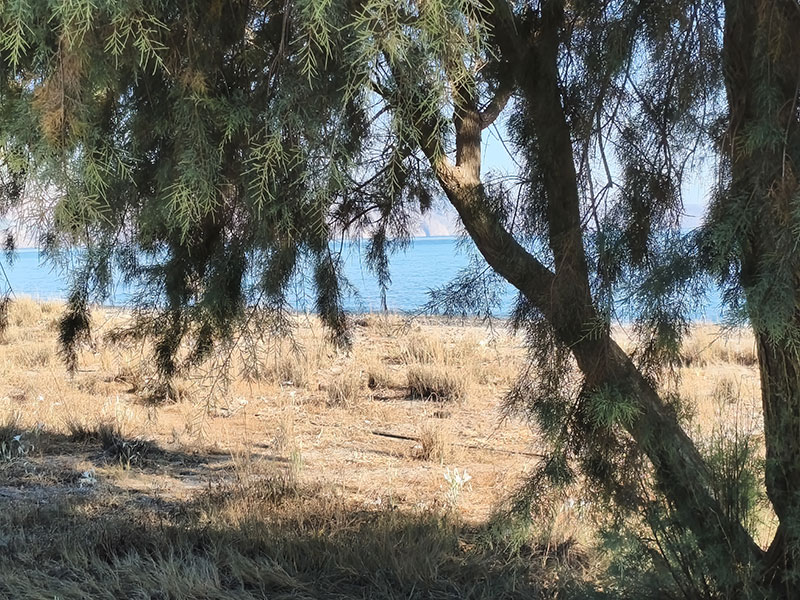 Am Strand von Pirgos Psilonerou